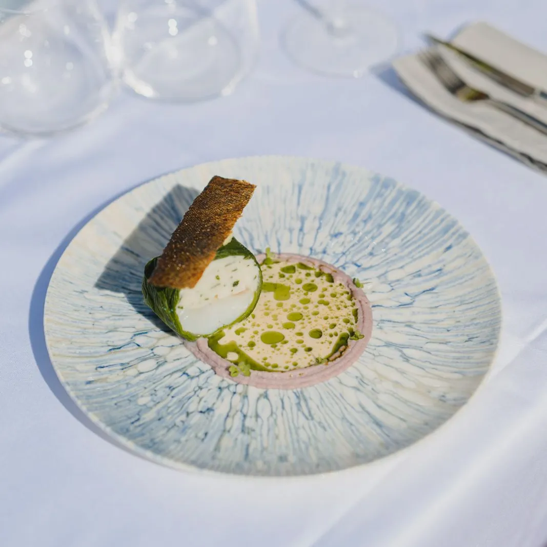 Gericht mit Sauce und knuspriger Garnitur auf einem blau-weissen Teller